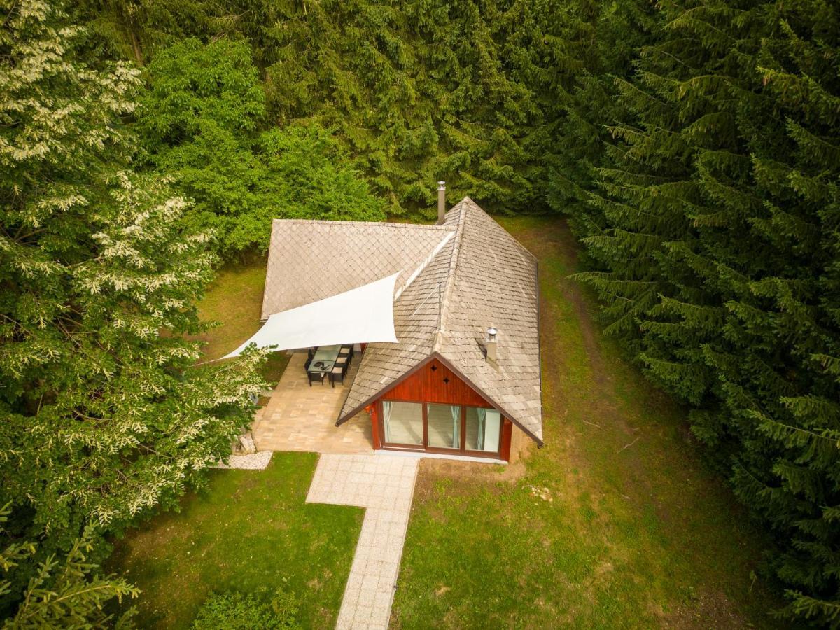 Villa Cebelnk: Sanjska Hisica 4 Km Od Bleda Lesce  Exterior foto